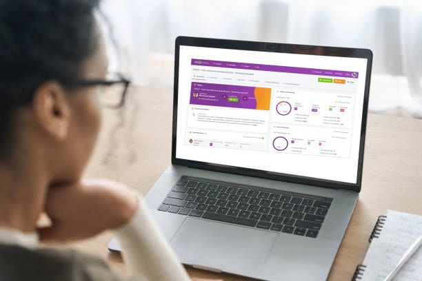Read more about the article PICO Portal Plus+: A Global Talent Connection Service for Project Support and Professional Growth